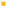 Vector
