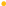 Vector