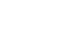 Vector
